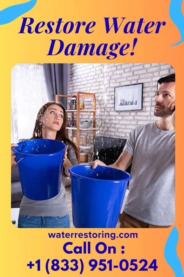water restoration Eco Water Cleanup Brothers Vidalia
