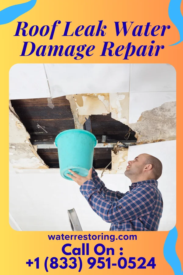 Roof Leak Water Damage Repair in Vidalia, GA